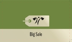 big_sale